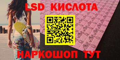индика Рузаевка
