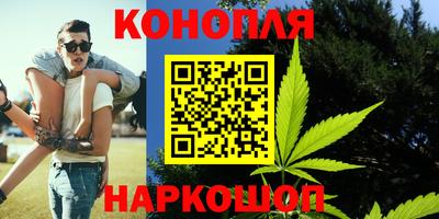 индика Рузаевка