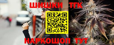 индика Рузаевка
