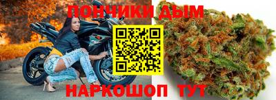 индика Рузаевка