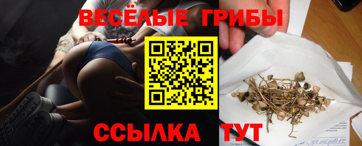 Псилоцибиновые грибы Cubensis  Вход с VPN  Саранск 